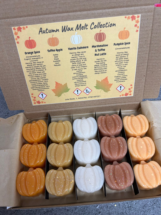 Autumn Wax Melt Collection- Pumpkins